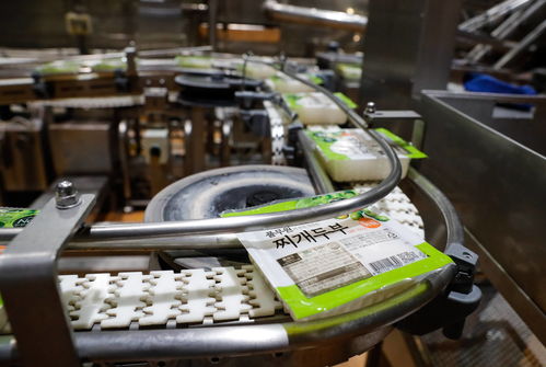 探訪進(jìn)博會(huì)參展商 韓國(guó)綠色食品企業(yè)圃美多的豆腐工廠