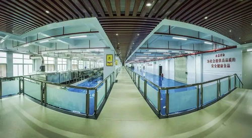 風(fēng)雨 益 起 患難 豫 共,厚街一企業(yè)捐款200萬元馳援河南